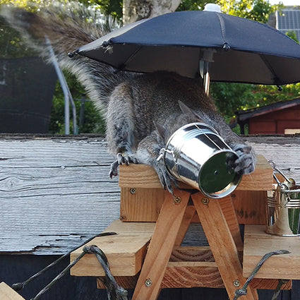 PeanuTable - Handmade Wooden Squirrel Feeder Picnic Bench with Mini Umbrella & Mini Buckets
