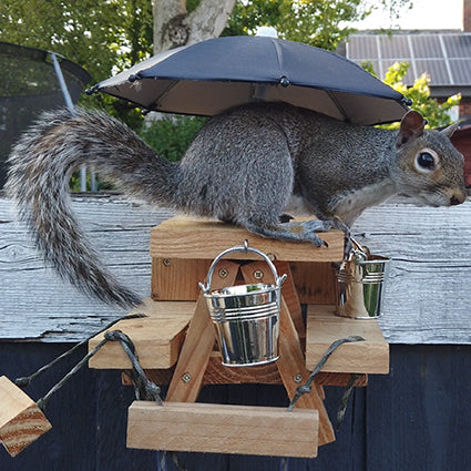 PeanuTable - Handmade Wooden Squirrel Feeder Picnic Bench with Mini Umbrella & Mini Buckets