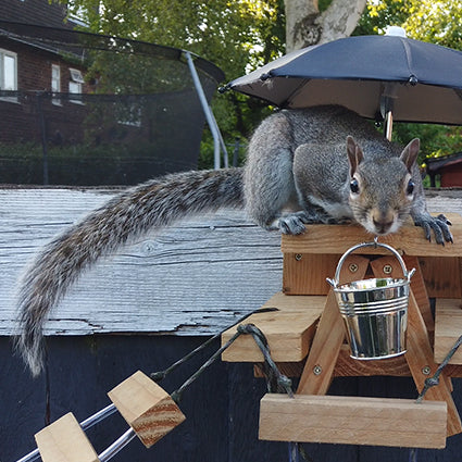 PeanuTable - Handmade Wooden Squirrel Feeder Picnic Bench with Mini Umbrella & Mini Buckets