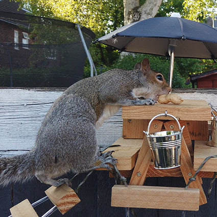 PeanuTable - Handmade Wooden Squirrel Feeder Picnic Bench with Mini Umbrella & Mini Buckets