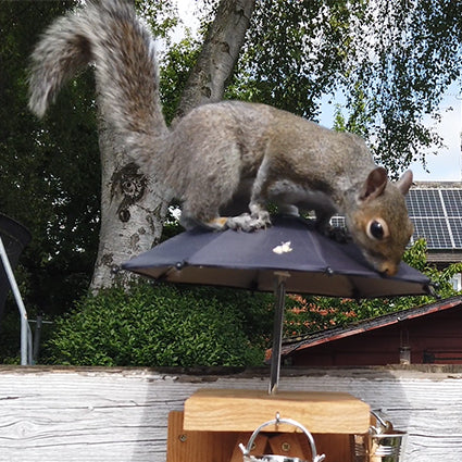 PeanuTable - Handmade Wooden Squirrel Feeder Picnic Bench with Mini Umbrella & Mini Buckets