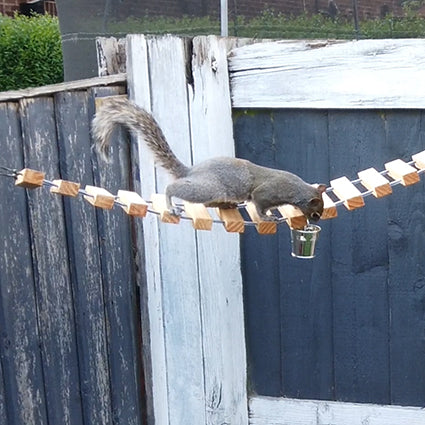 NuttyRoad - Handmade Wooden Squirrel Bridge Feeder with Mini Buckets