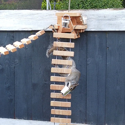 NuttyRoad - Handmade Wooden Squirrel Bridge Feeder with Mini Buckets